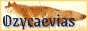 Ozycaevias Banner